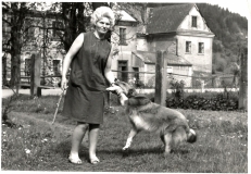 Léto 1971