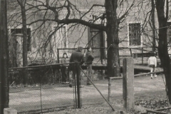 Pohled ze dvora vily, rok 1972