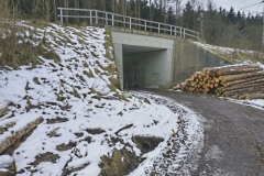 Viadukt mezi Muzlovem a Quellhütte  2021